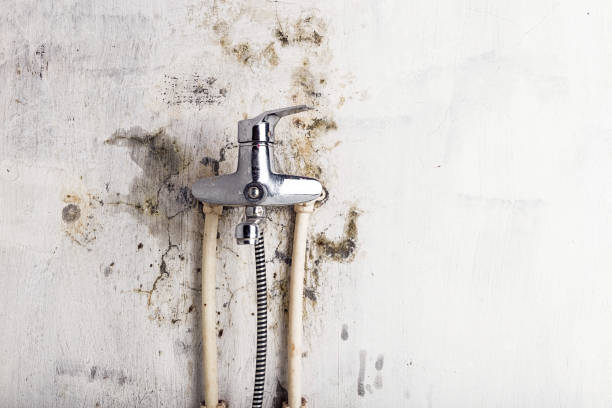 Best Residential Mold Removal  in Cornelius, NC