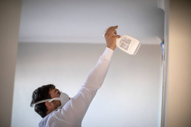 Best Attic Mold Removal  in Cornelius, NC